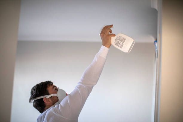Best Black Mold Removal  in Ottawa Hills, OH